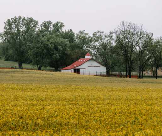 Brown County Indiana Septic Services