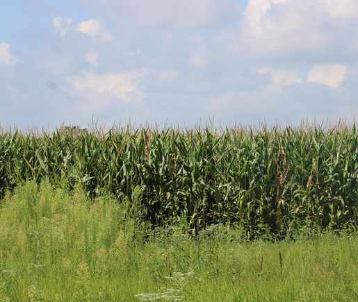 Hancock County Indiana Septic Services