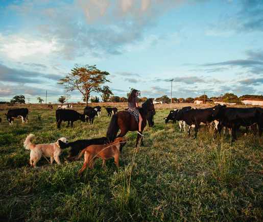 Johnson County Indiana Septic Services