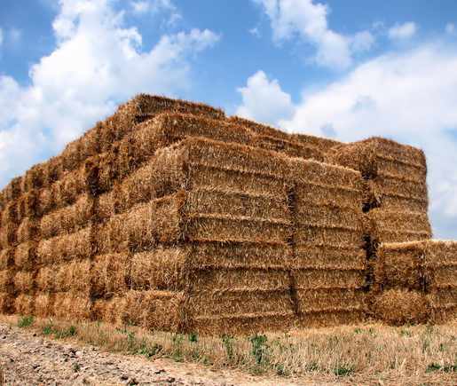 Morgan County Indiana Septic Services